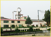 Cassava Starch Project Case