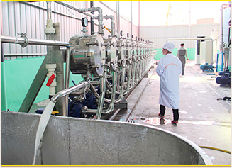 Cassava Starch Project Case