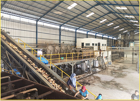 Cassava Starch Project Case