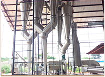 Cassava Starch Project Case