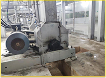 Cassava Starch Project Case