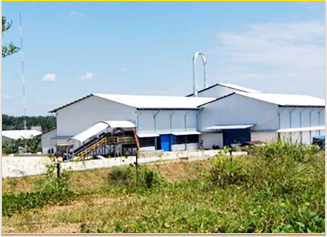 Cassava Starch Project Case