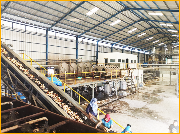 Cassava starch and cassava flour processing plant project cases