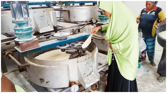 Garri processing plant project cases