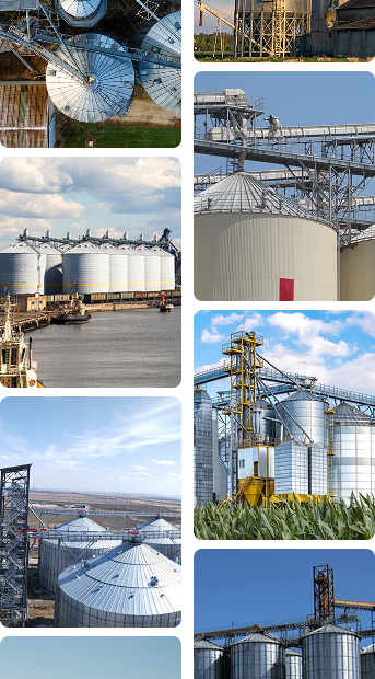 Overseas grain storage silo project