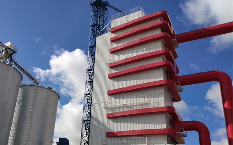 Grain drying system