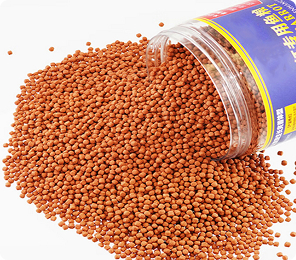 Fish Feed