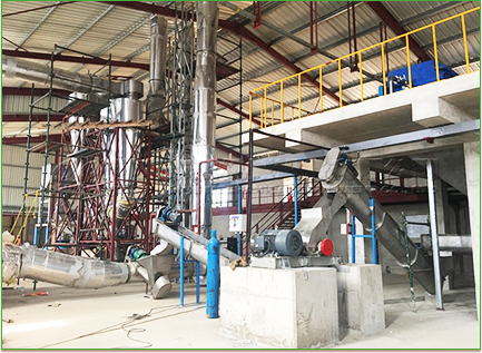 Kasus proyek pati singkong
