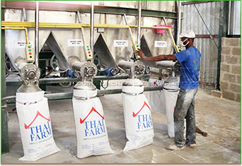 Kasus proyek pati singkong