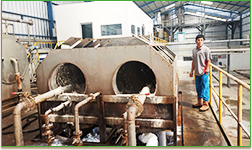 Kasus proyek pati singkong