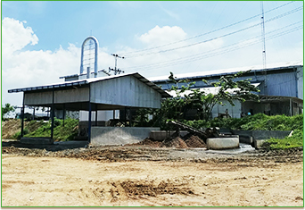 Kasus proyek pati singkong