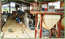 Kasus proyek pati singkong