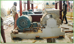 Kasus proyek pati singkong