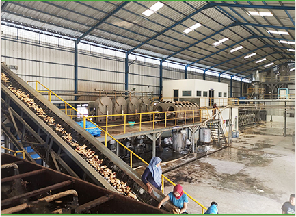 Kasus proyek pati singkong
