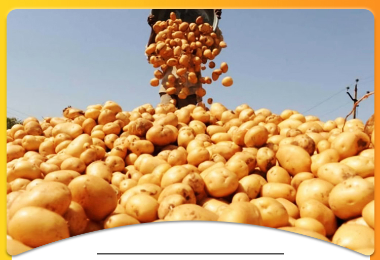 Planta de procesamiento de almidón de patata