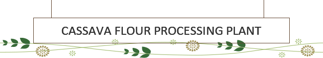 Cassava flour processing plant