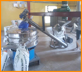 Cassava flour processing plant