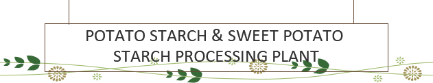 Potato starch & Sweet potato starch processing plant