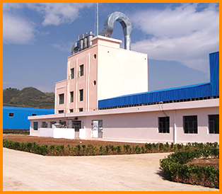 Potato starch & Sweet potato starch processing plant
