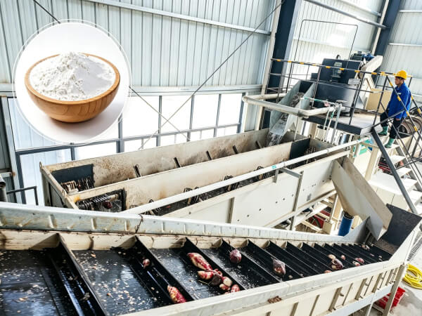 Sweet potato starch machine