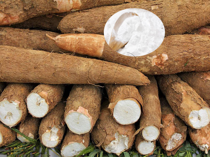 How to produce cassava starch from cassava?