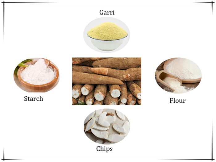 What can cassava be processed into?