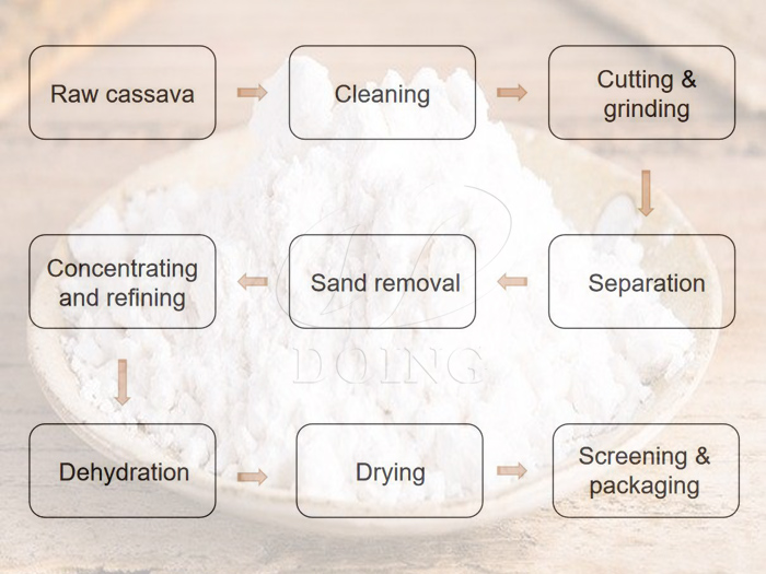 Overview of cassava starch processing in Cambodia