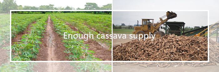 cassava starch production company in Nigeria