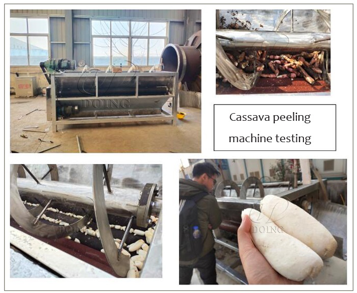 cassava peeling and washing machine testing
