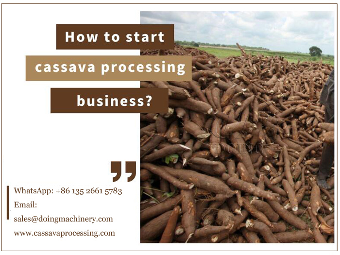 How to start cassava processing business?