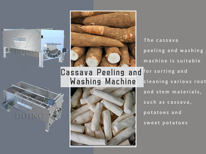 Cassava tubers peeling machine to make garri from raw cassava