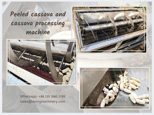 The working principle of cassava peeling machine and working video