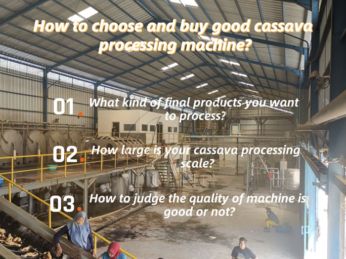 How to choose and buy good cassava processing machine?