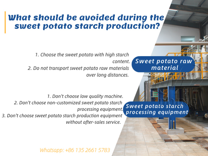 What should be avoided during the sweet potato starch production?
