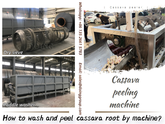 How to wash and peel cassava root by machine?