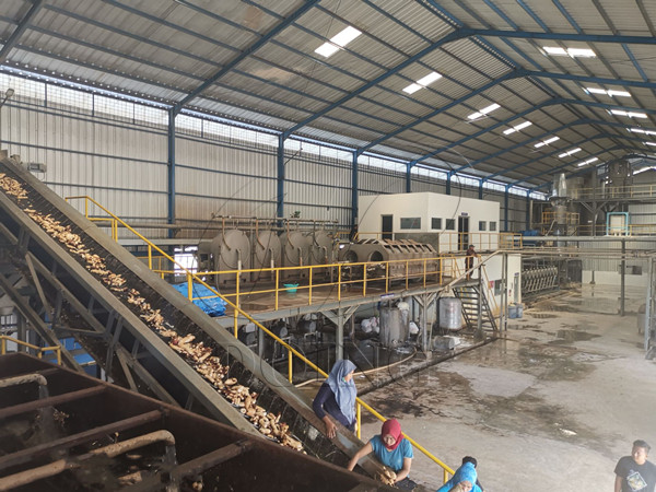 Operation video of large scale cassava starch processing plant