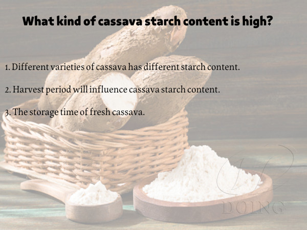 What kind of cassava starch content is high?