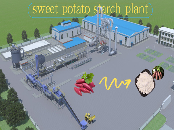 Video introduction of sweet potato starch processing plant