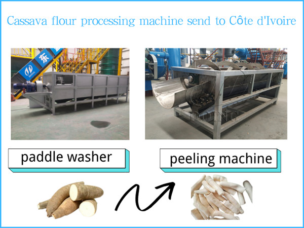 Doing's cassava flour processing equipment is warmly welcomed in Côte d'Ivoire