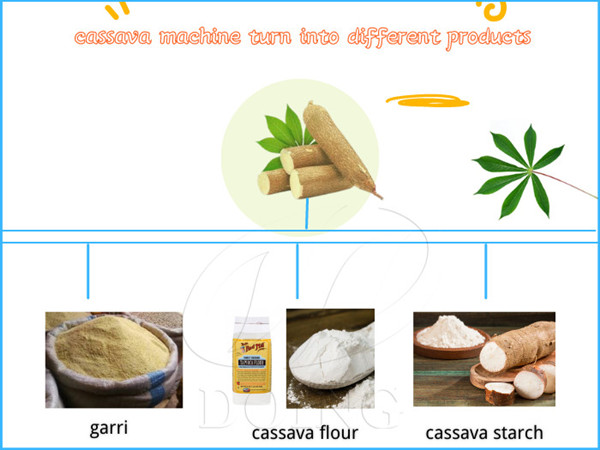 Complete tapioca machine that can turn tapioca roots into different products