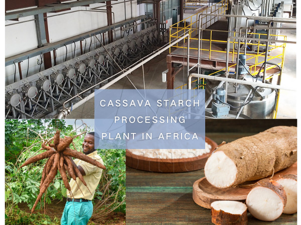 Cassava starch processing plant designed for African customers