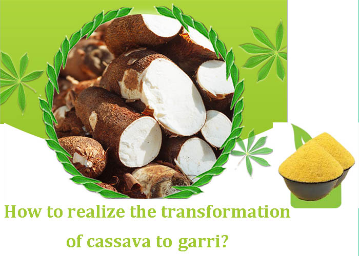 the transformation of cassava to garri