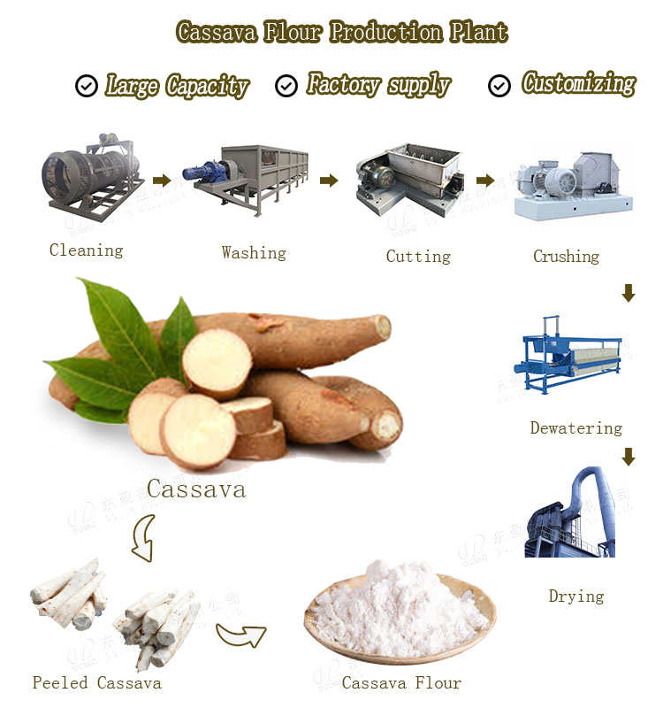 Cassava flour processing machine