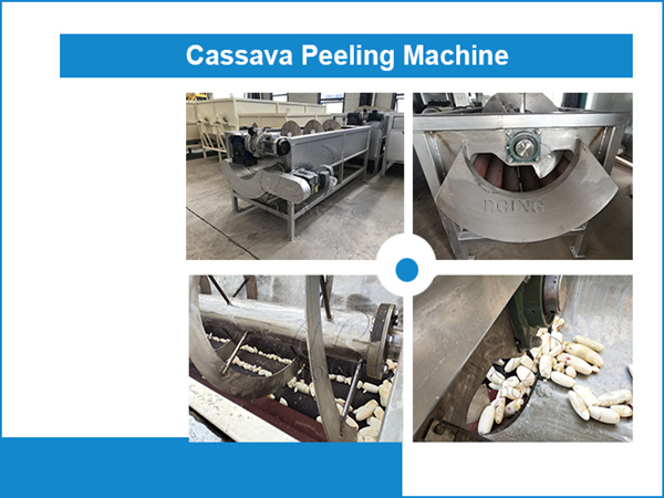 Henan Jinrui Company’s 1t/h cassava peeling machine was purchased by a Philippine customer