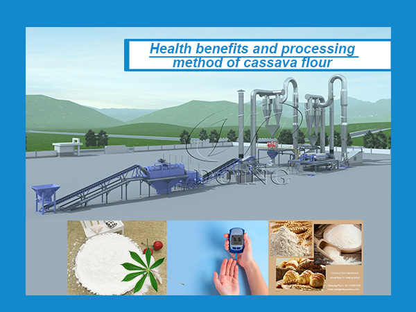 Health benefits of cassava flour and processing method of cassava flour