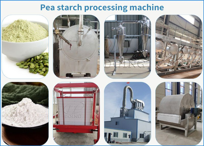 Pea starch processing machines