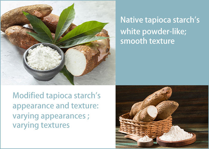 native tapioca starch and modified tapioca starch's appearance and texture