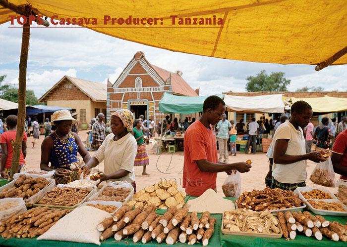 Top5 cassava producer Tanzania