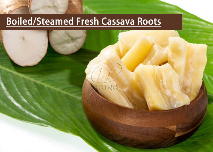 steamed fresh cassava roots