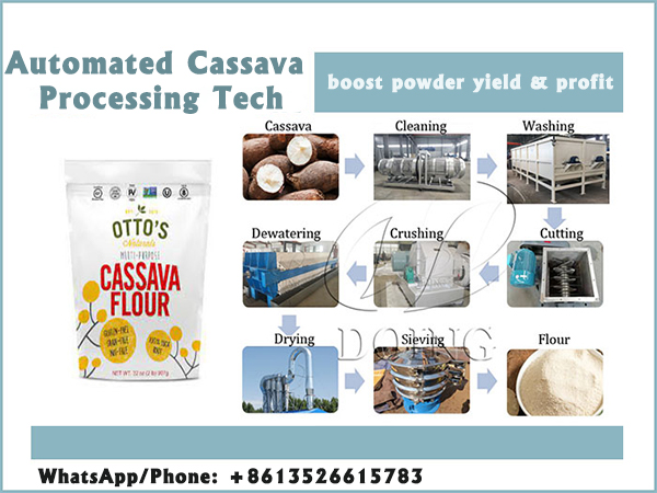 Boost Your Cassava Powder Yield & Profit with Advanced Cassava Processing Tech